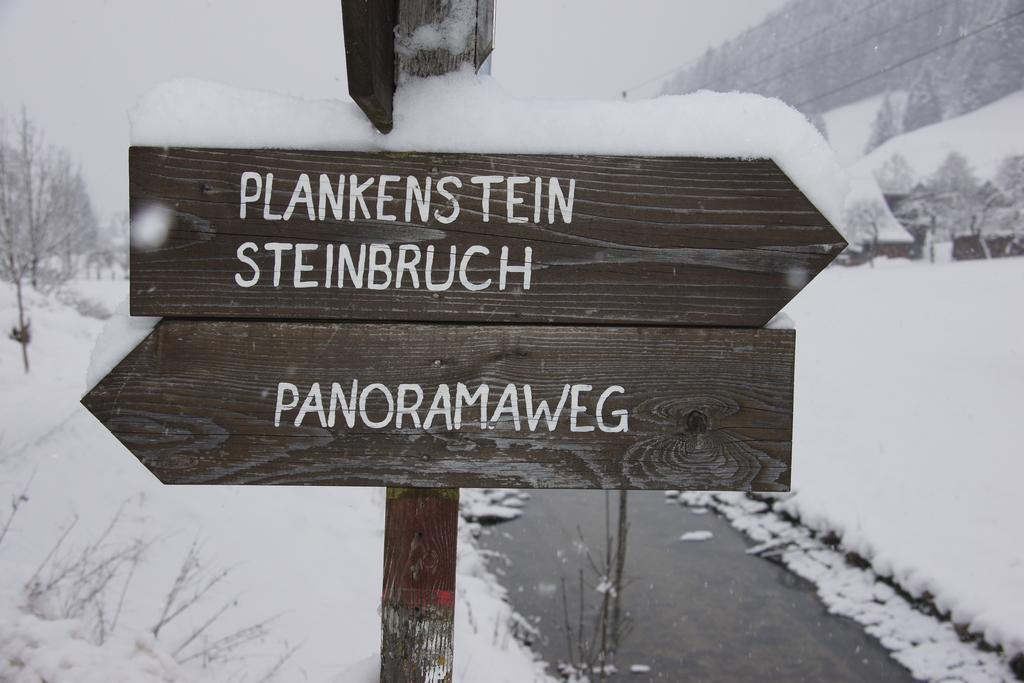 Chalet Gamsjaeger Гозау Номер фото